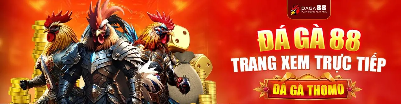 Đá Gà Trực Tuyến Hấp Dẫn tại 49bet