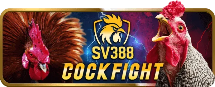 Mẹo bảo mật giao dịch tại 49bet